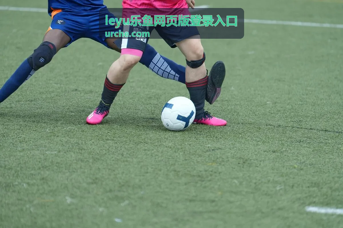 乐鱼账号安全常见问题