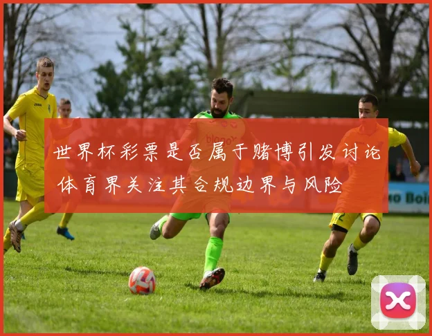 世界杯彩票是否属于赌博引发讨论 体育界关注其合规边界与风险