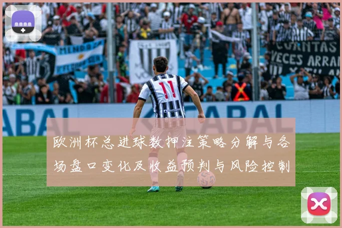 欧洲杯总进球数押注策略分解与各场盘口变化及收益预判与风险控制建议