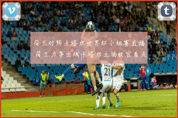 荷兰对阵卡塔尔世界杯小组赛直播 荷兰力争出线卡塔尔主场收官看点足