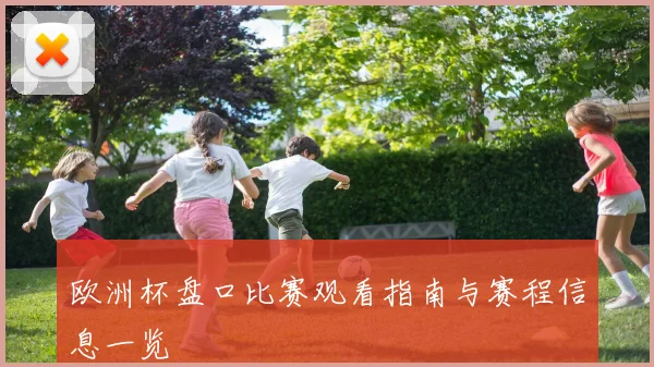 欧洲杯盘口比赛观看指南与赛程信息一览