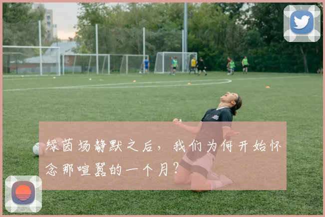 绿茵场静默之后,我们为何开始怀念那喧嚣的一个月?