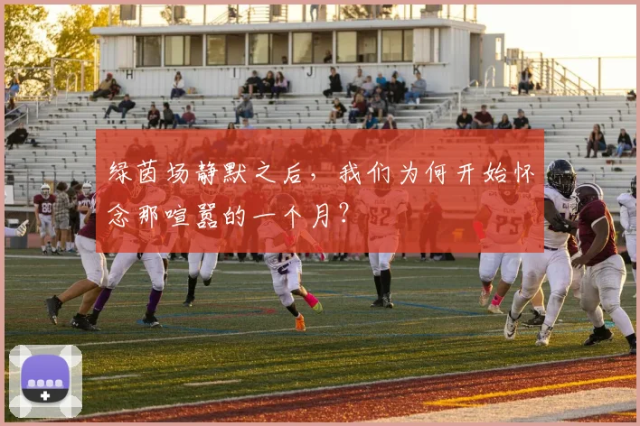 绿茵场静默之后，我们为何开始怀念那喧嚣的一个月？