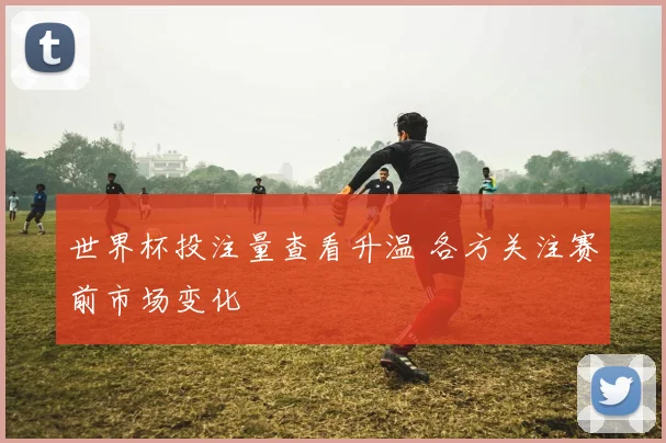 世界杯投注量查看升温 各方关注赛前市场变化